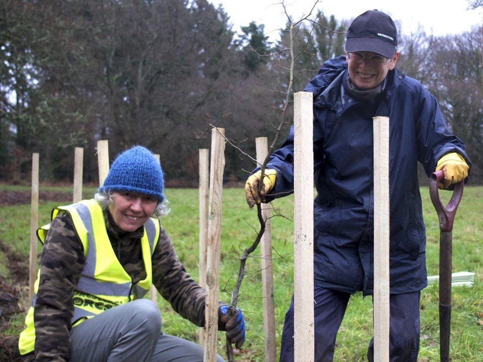 International Tree Foundation volunteers planting trees in the UK.